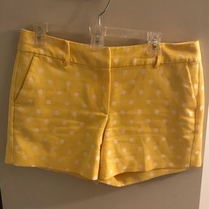 Ann Taylor shorts size 8